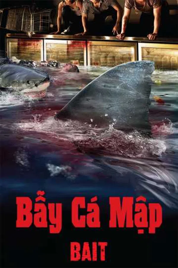 Xem Phim Bẫy Cá Mập Vietsub HD Online