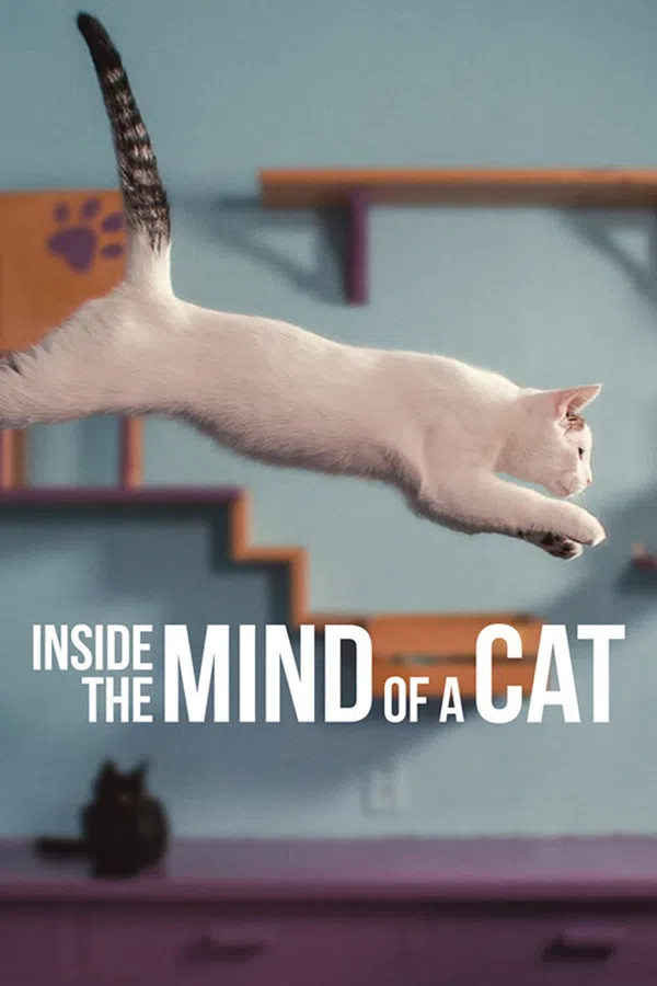 Xem Phim Những chú mèo nghĩ gì Vietsub HD Online
