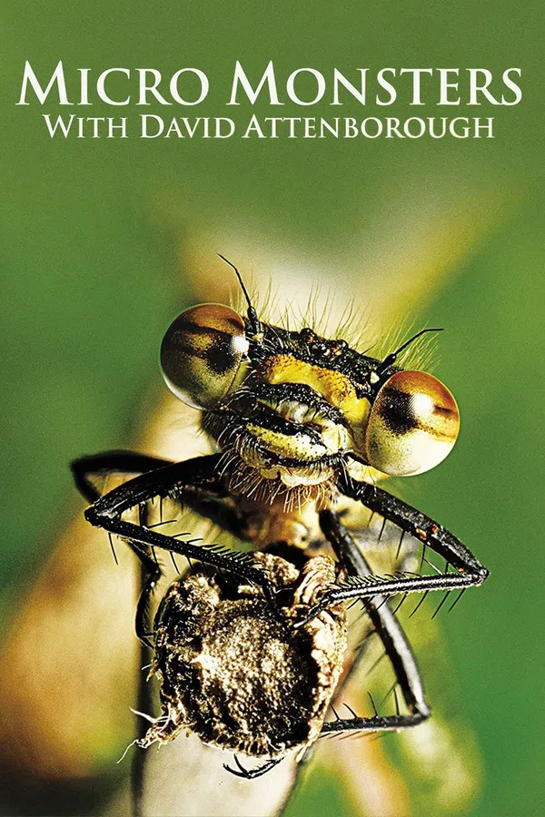 Xem Phim Những Quái Vật Tý Hon Vietsub HD Online